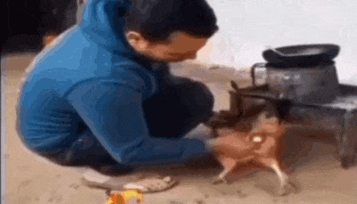 粘着鸡毛鸡屎的土鸡蛋,要先洗干净再放冰箱吗?