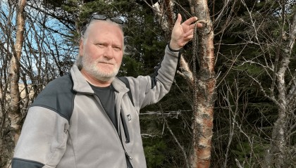 “无蚊国”失守:冰岛境内首次发现蚊子