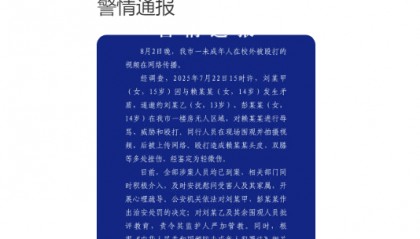 14岁女孩在校外被殴打,警方通报
