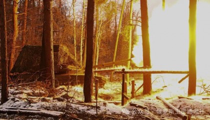 俄国防部:俄军已解放顿涅茨克人民共和国的新特罗伊茨科耶居民点