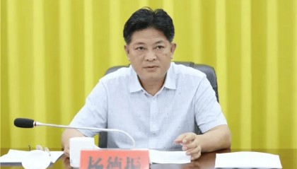 杨德振,严重违反党的政治纪律、组织纪律和廉洁纪律