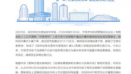 开盘一分钟就疯狂卖出25.67亿元，量化交易天王灵均投资砸盘A股？沪深交易所出手了，限制交易并启动公开谴责