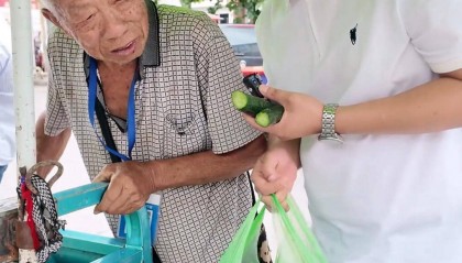 81岁菜农被博主买下所有菜后回家路上遇车祸离世 家属发声：别寒了好人的心