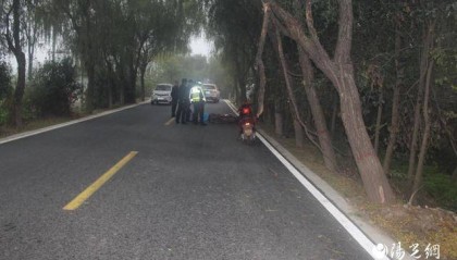 兴平一女教师上班途中撞树身亡 终审判决：镇政府主责赔偿76万余元