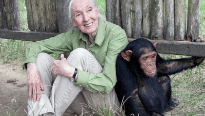 91岁传奇女科学家去世:没学士学位的剑桥博士,科学发现颠覆人类认知,每年300天全球演讲