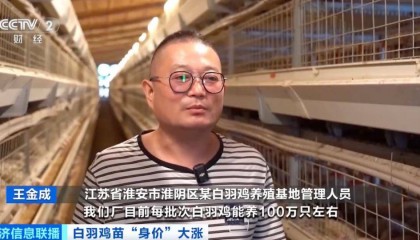 价格暴涨300%!它,从“没人要”到“买不到”