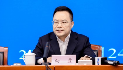 中央巡视期间,向霆被查