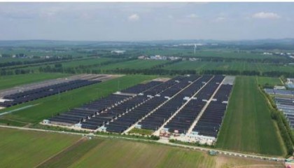 黑龙江桦南县：一千万袋玉耳进入采收期