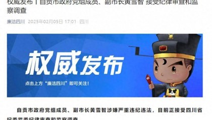 涉嫌严重违纪违法，四川省自贡市政府党组成员、副市长黄雪智接受审查调查