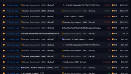 抛售最后3846枚BTC后德政宣布不再允许比特币进入加密货币市场！