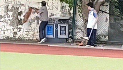 福建一公办职中保安被指当学生面,从3米高墙扔出流浪狗!福清教育局:将核实情况