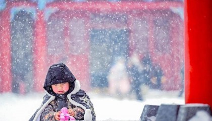 沈阳明晚雪就到!阵风10级!紧急提醒!