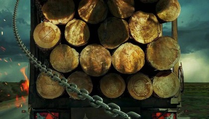 《死神来了6》领衔,大尺度恐怖片接连引进……影市风向真变“松”了吗?