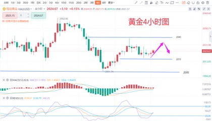李易鑫：1.23黄金原油今日行情价格趋势分析及操作建议布局