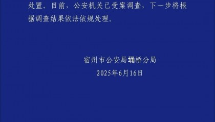 上百亩土豆遭村民“哄抢”,安徽宿州警方通报最新进展