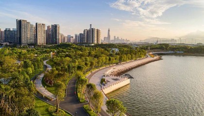 十五运会热力“燃”动鹏城