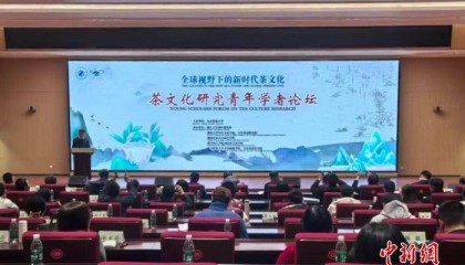 200余位专家学者齐聚江西九江 共话新时代茶文化传承发展