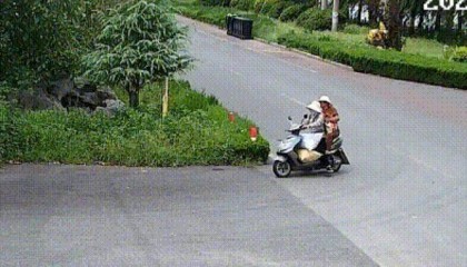 400斤，两人多次偷猕猴桃自己吃，被济南警方抓获