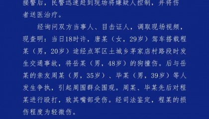 女司机撞到未拴绳的狗,同车男子遭狗主人亲友围殴!警方通报
