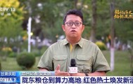 从“陇东粮仓”到算力高地 这块红色热土焕发新活力