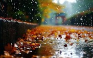 冷！冷！冷！北京这场秋雨啥时候停？
