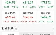 A股收评：三大指数继续调整，沪指跌0.37%，中药、光伏设备板块领涨！超3300股上涨，成交1.62万亿缩量3420亿