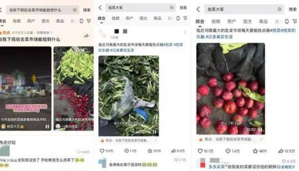 河南最大批发市场现“捡菜大军”,年轻人扎堆捡“蔬果”,00后男子:品相差但能吃,也有人拍视频跟风