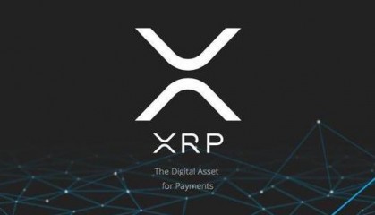 瑞波币app(瑞波币交易所官网)