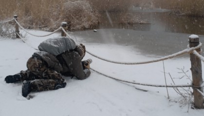 张瑜:我们所居住的北京,是亲近自然的最佳场所