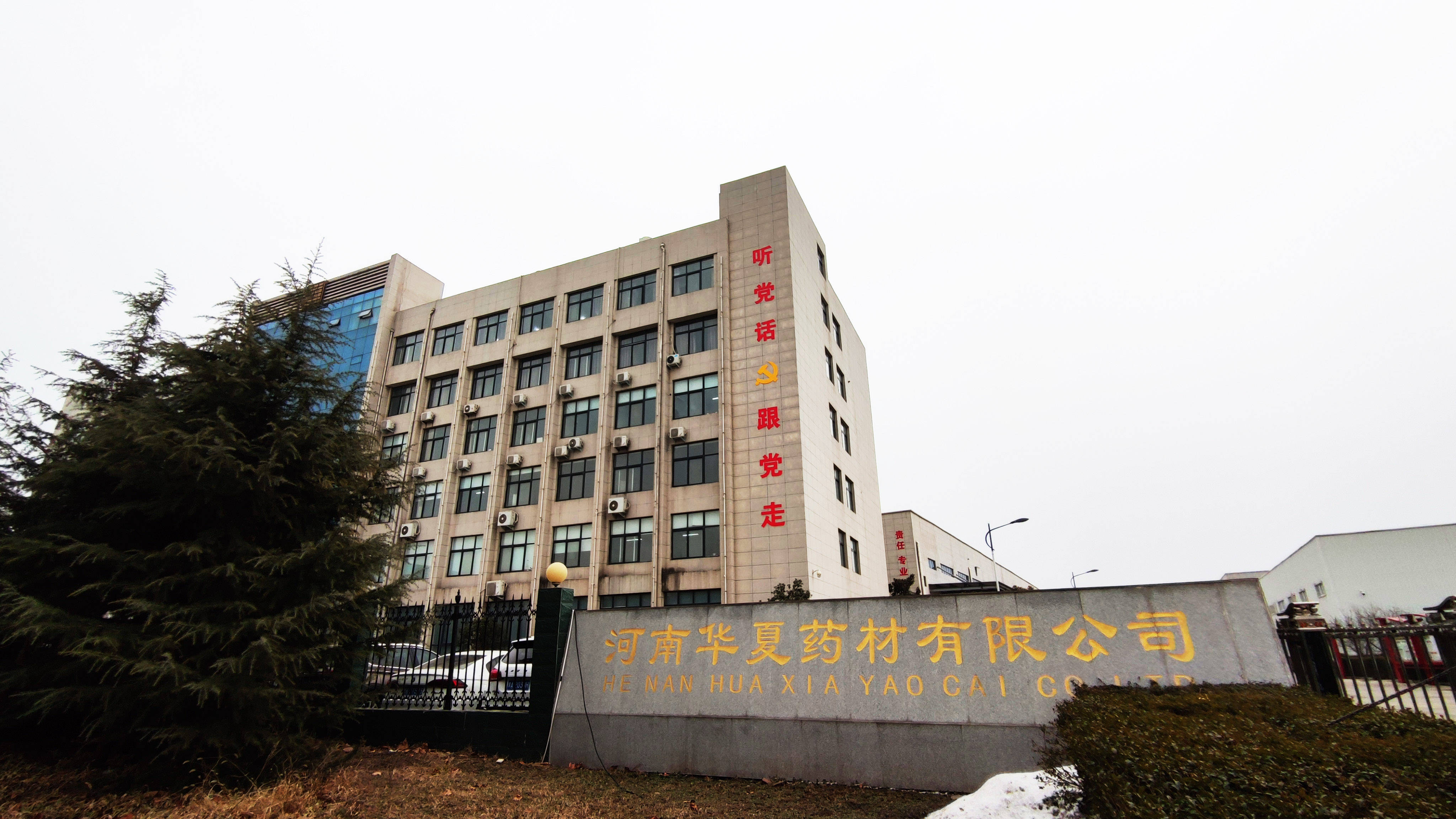 邢台市任泽区【中药批发】今日亳州市场行情（附价格）