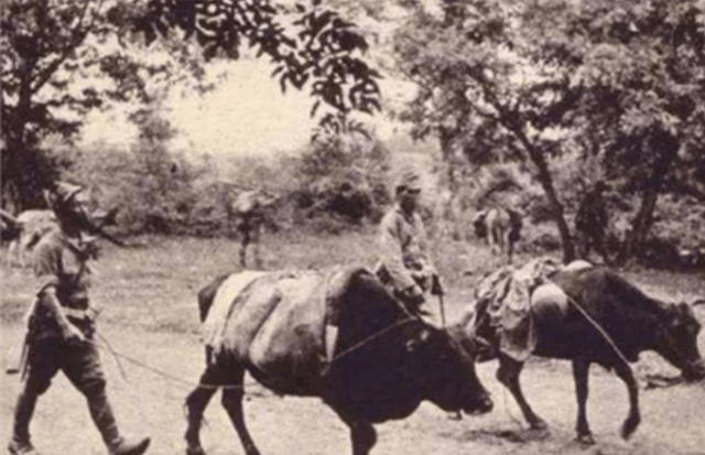 1944年，美国飞行员克尔弃机跳伞，鬼子在地面张开大网搜捕