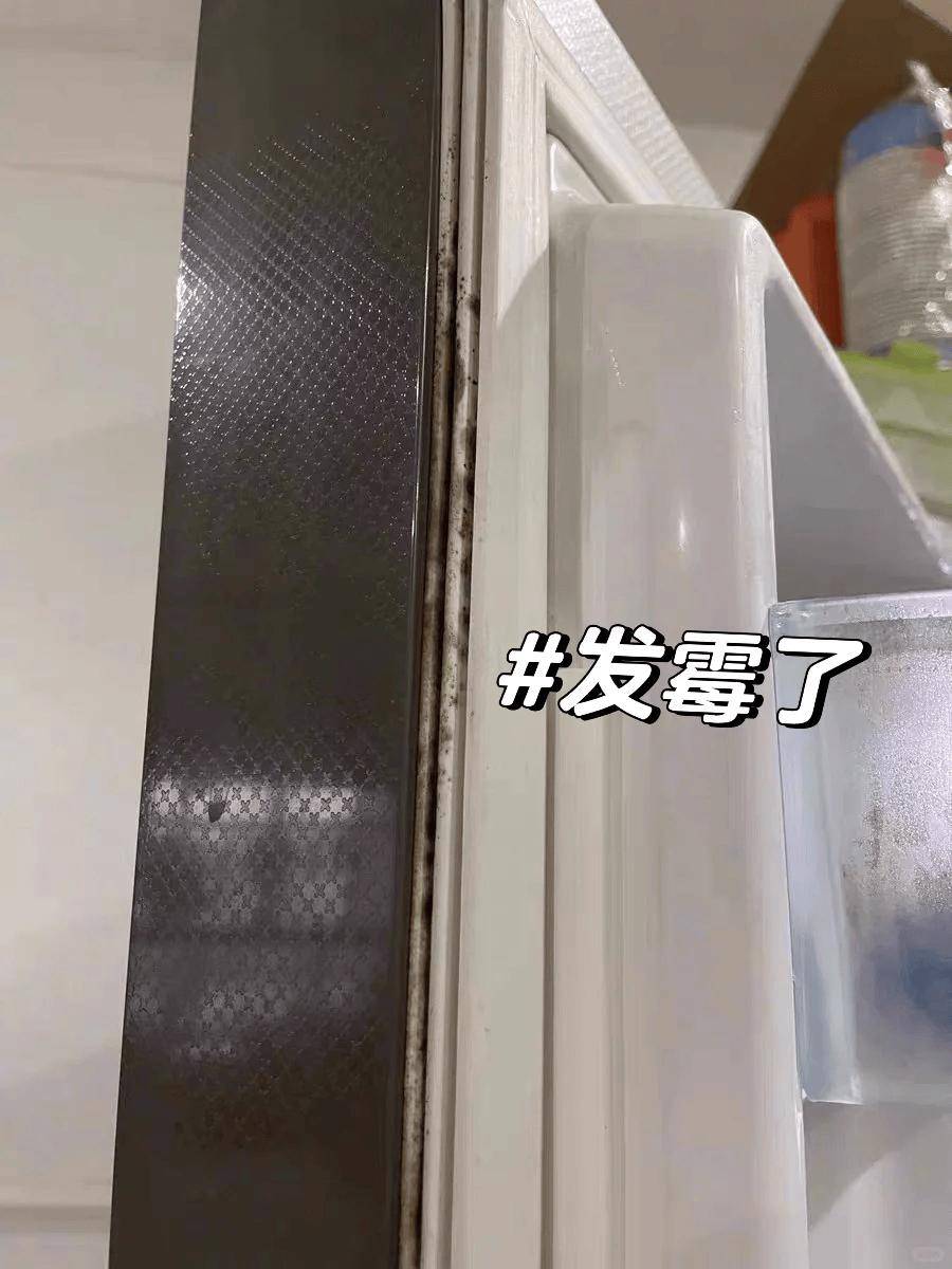 家里这4个东西“巨脏无比”，很多人还蒙在鼓里，赶紧洗一洗吧