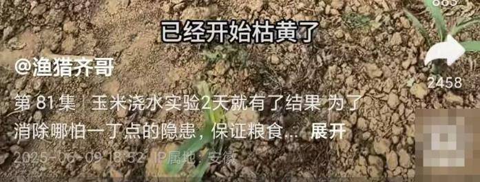 蚌埠一地被曝水污染，网友取水浇苗做实验却被人拔光，警方介入调查
