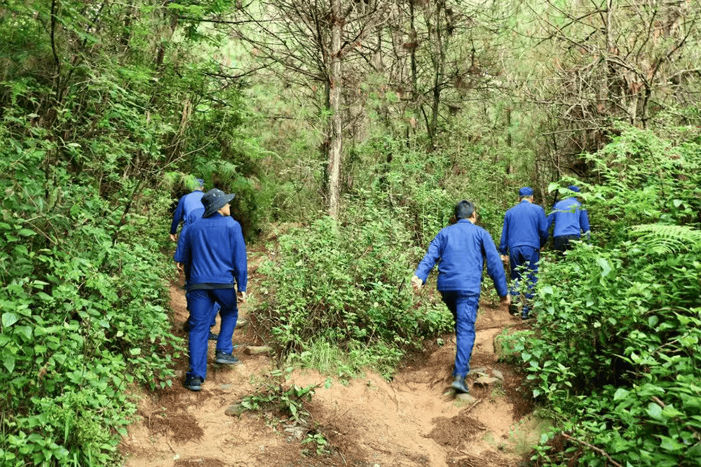 云南大理：已劝返入山采菌及徒步820人