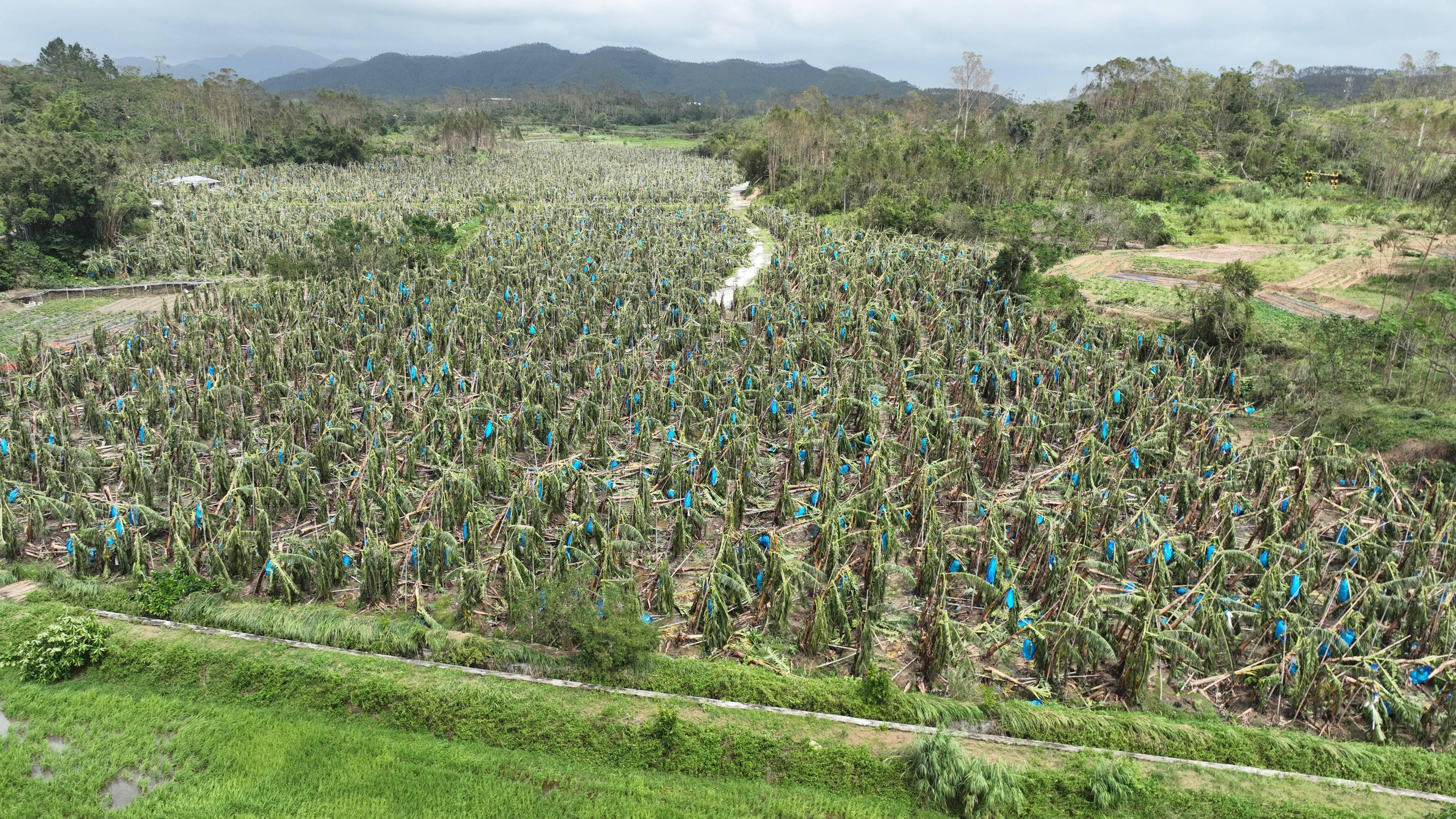 村镇导演追三个超强台风 拍下被遗忘的农民