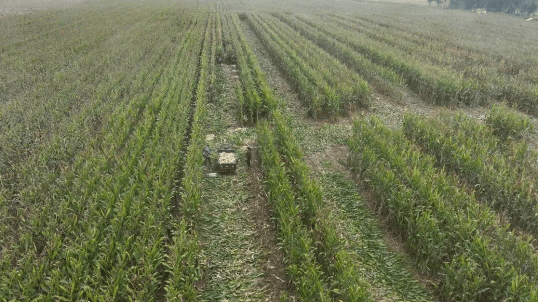 村镇导演追三个超强台风 拍下被遗忘的农民