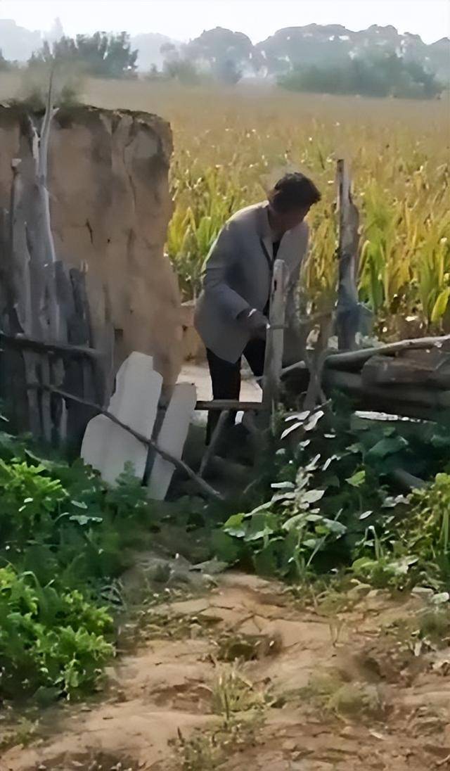 女子疑因拍亲姑姑偷玉米遭姑父棍杀,邻居欲报警也遇害