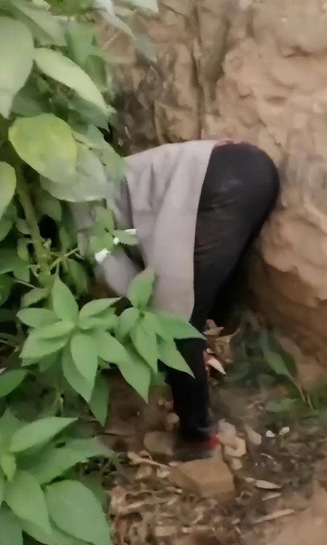 女子疑因拍亲姑姑偷玉米遭姑父棍杀,邻居欲报警也遇害