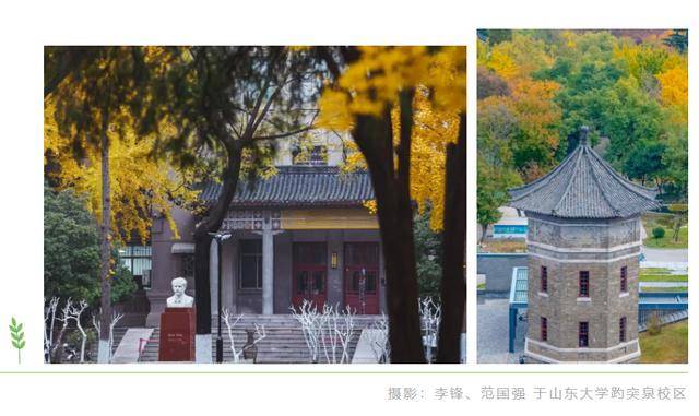 “跟着国宝游济南”5条主题线路已上线，解锁济南的新玩法！