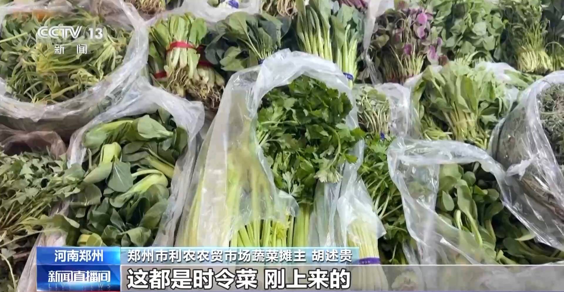 蒸、煎、拌、酿……一口鲜菜如何“锁”住春天？