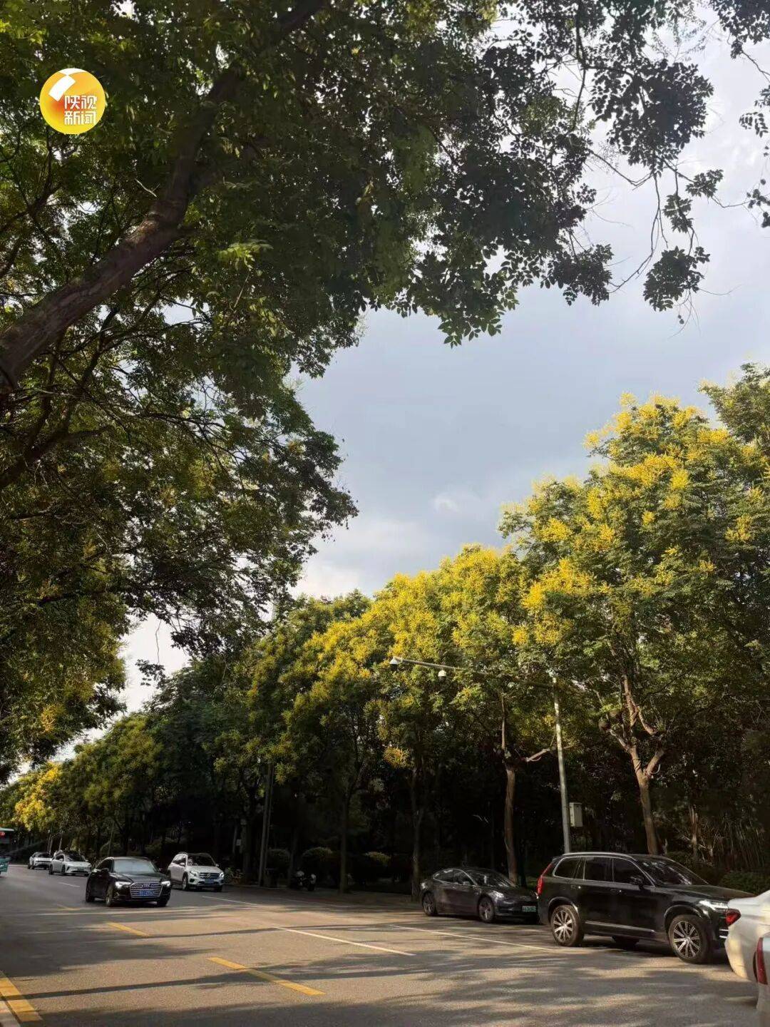 陕西最低13℃！西安5-6级阵风来袭，9月7-8日全省大部小到中雨上线，抓紧晾晒