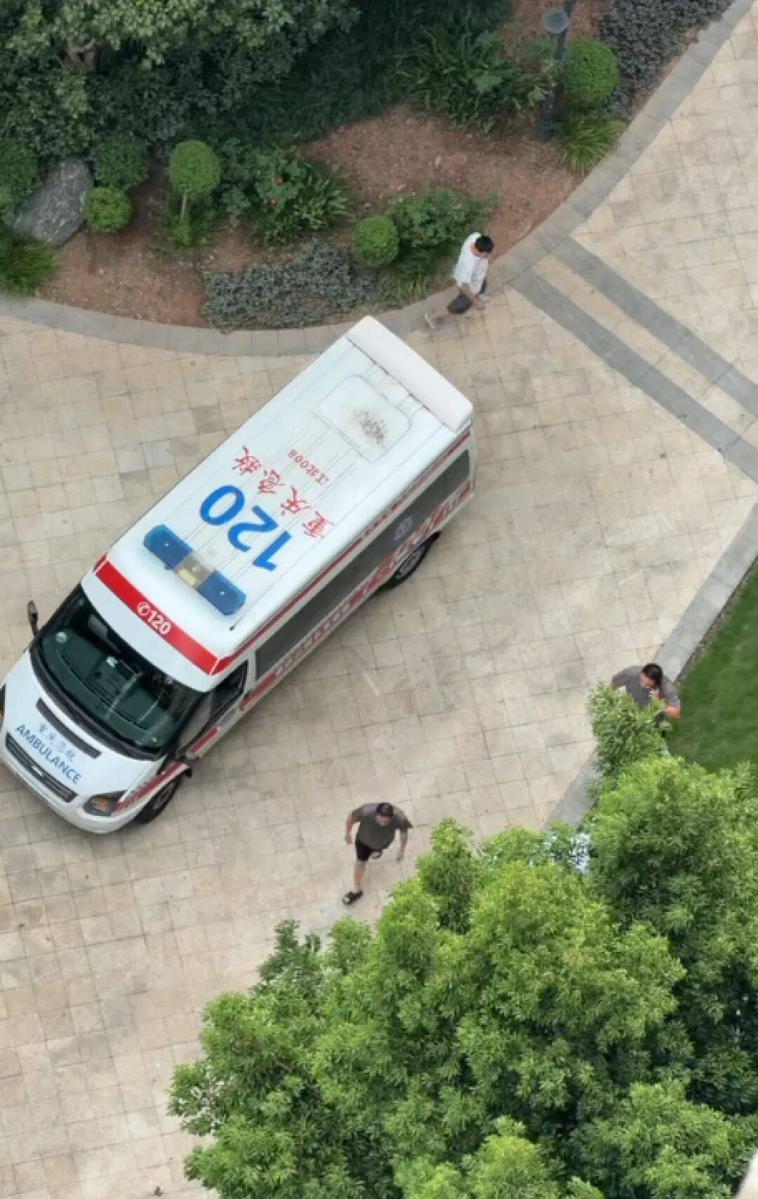 重庆2岁幼童从18楼坠亡,母亲称父亲把孩子独自留在家中去遛狗,父亲发声:我很愧疚